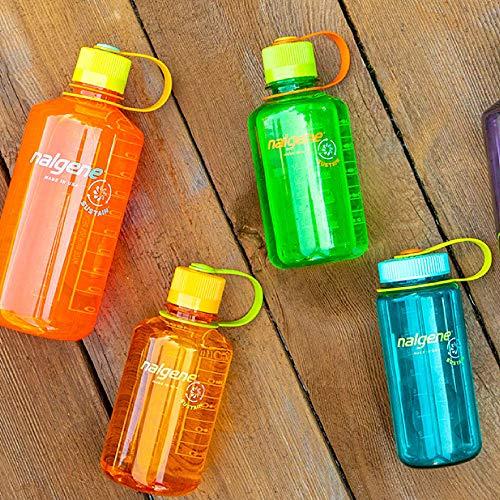 nalgene(ナルゲン) カラーボトル 広口0.5L トライタンボトル クリア 91308