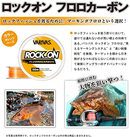 ＲＯＣＫ_ＯＮフロロ　100m　12LB