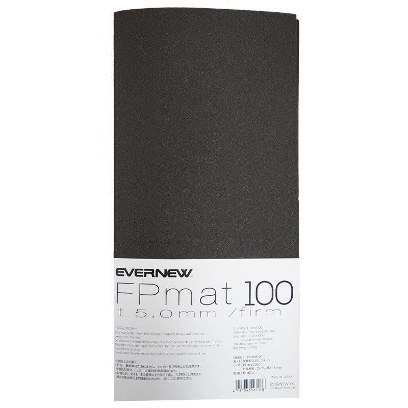 ＦＰｍａｔ１００